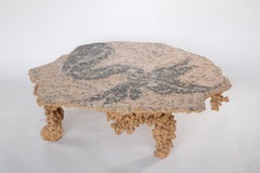 Contemporary Sea Creature Coffee Table