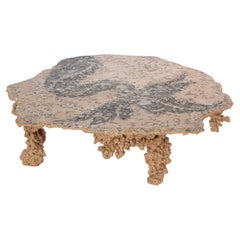 Mesa de centro criatura marina contemporánea