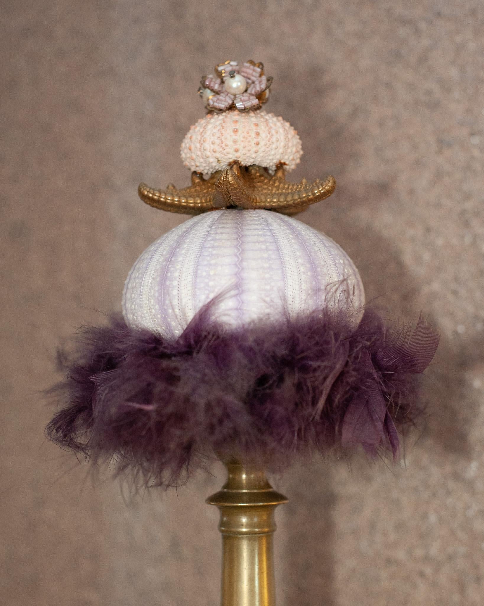 Contemporary Sea Urchin Curiosity with Feather and Shells In New Condition In Toronto, ON