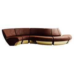 Contemporary Sectional Curvy Sofa in Velvet Upholstery & Polished Brass Details