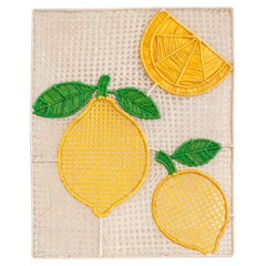 Juego contemporáneo de 8 manteles individuales de ratán tejido a mano Limones