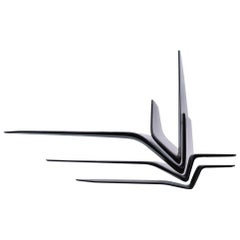 Contemporary Shelving System Designed by Zaha Hadid in Black Granite