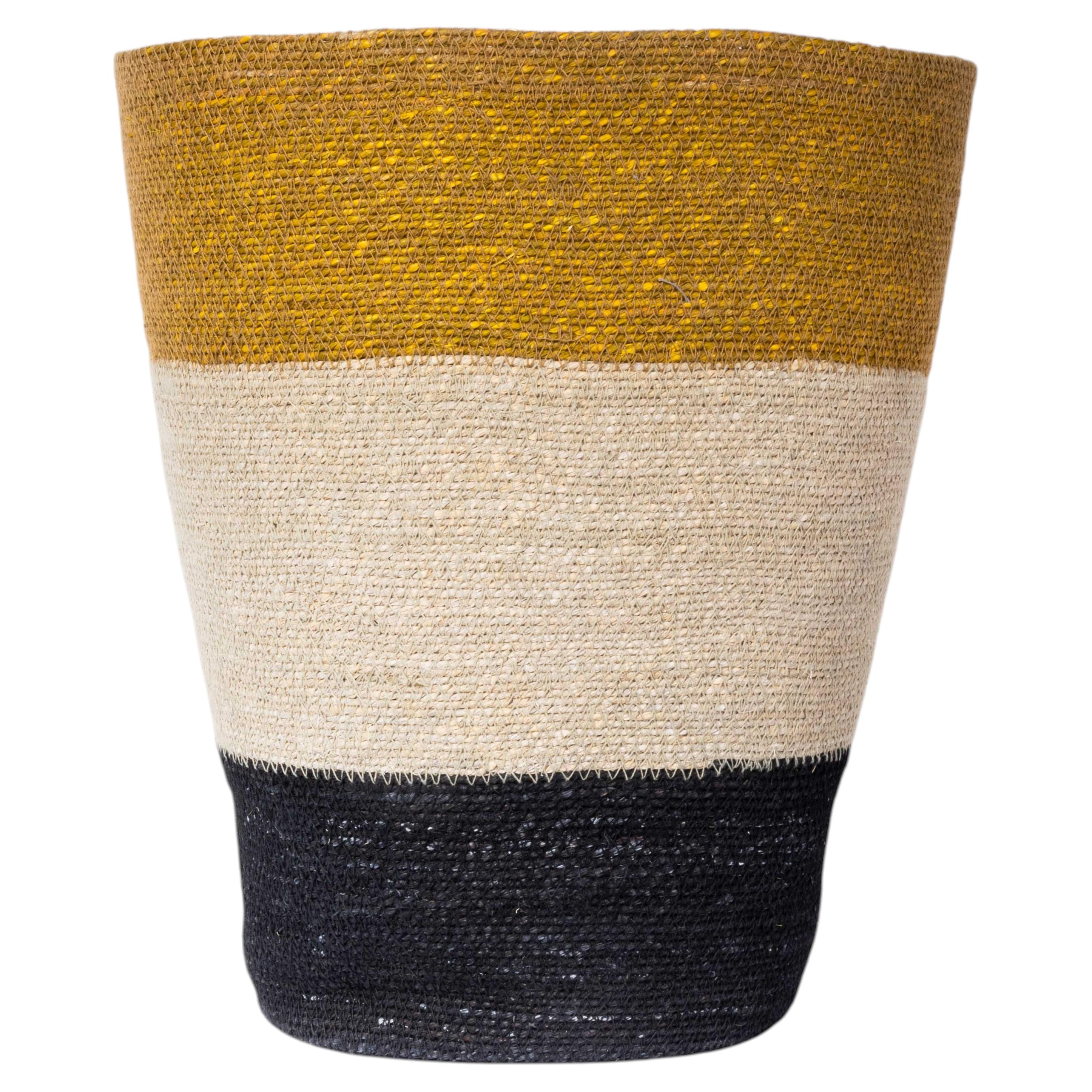 Contemporary Simple Wide Broad Stripe Basket - Water Hyacinth