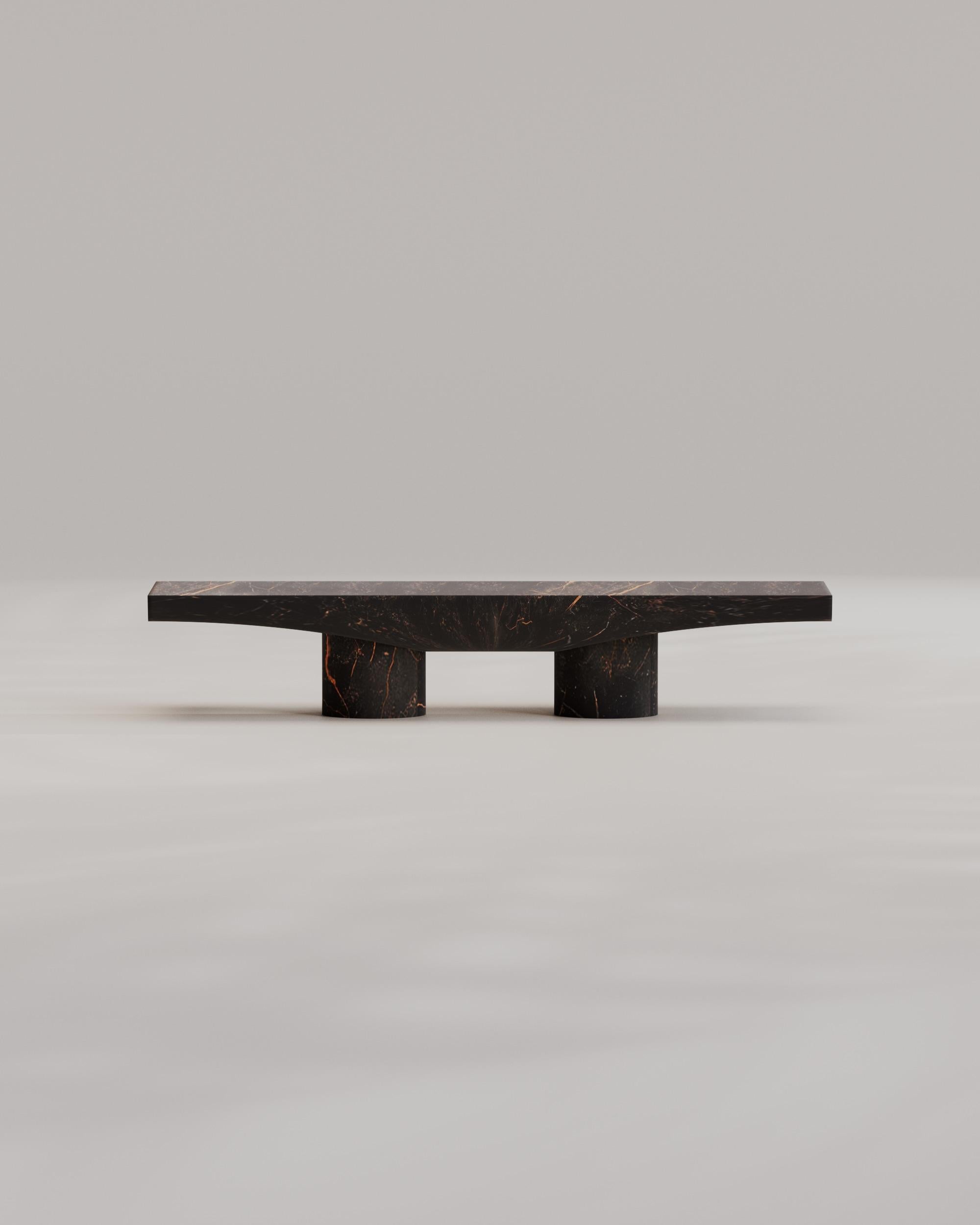L'introduzione della Collezione 