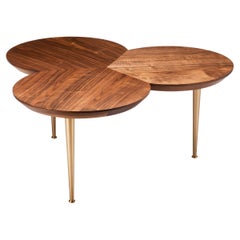 Contemporary Stem Coffee Table in Natural Walnut with Solid Brass Legs