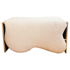 Contemporary Storage Bench