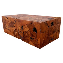 Contemporary Studio Patchwork Teak Root Burl Wood Monolithic Coffee Table