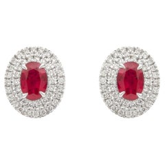 Contemporary Style Oval Ruby & Diamond Double Halo Stud Earrings in White Gold