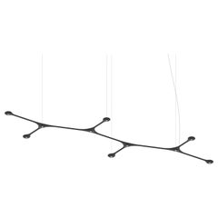 Contemporary Suspension Pendant Carbon Light CARB10.00 by Tokio