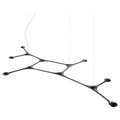 Contemporary Suspension Pendant Carbon Light CARB12.00 by Tokio