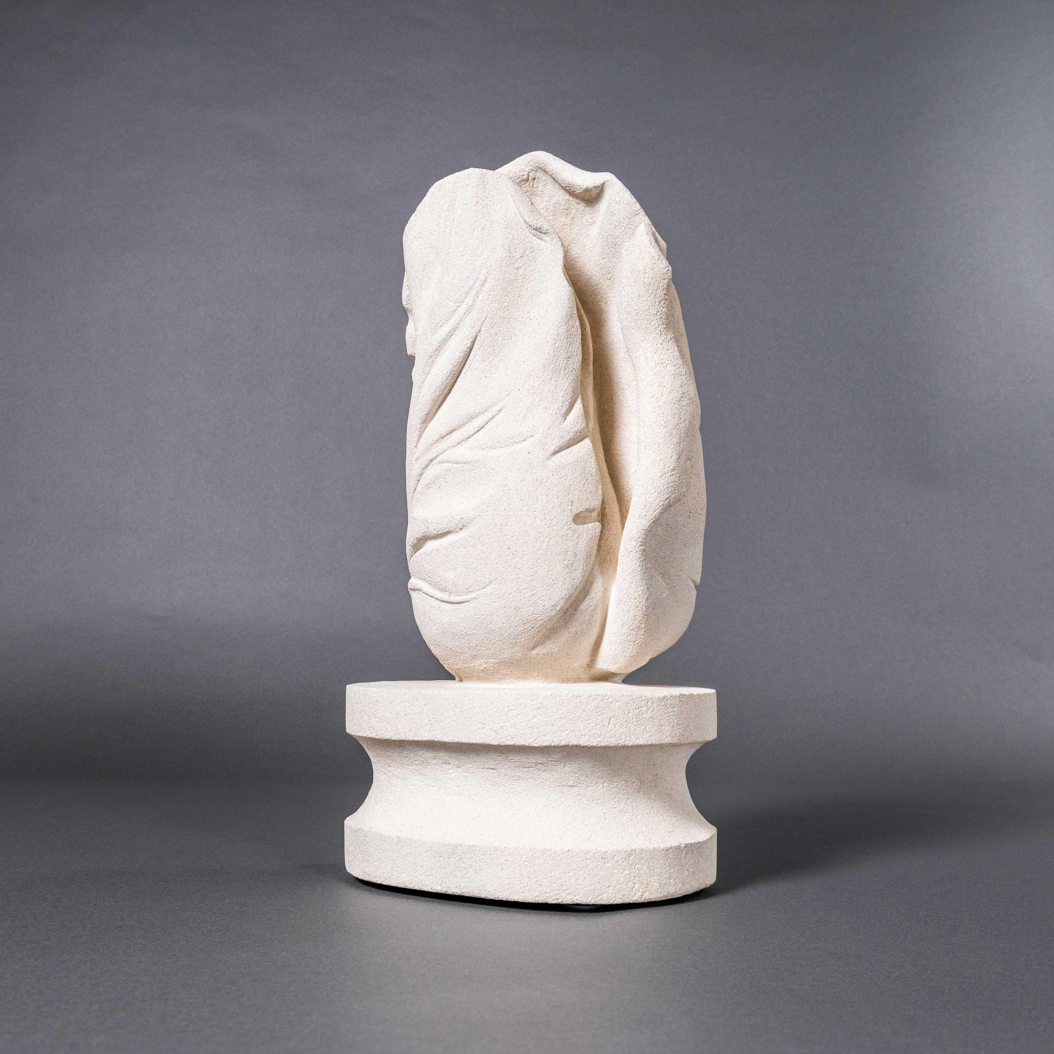Repollo contemporáneo - Marcia Bennett-Male en Nuevo estado para la venta en Hook, Hampshire