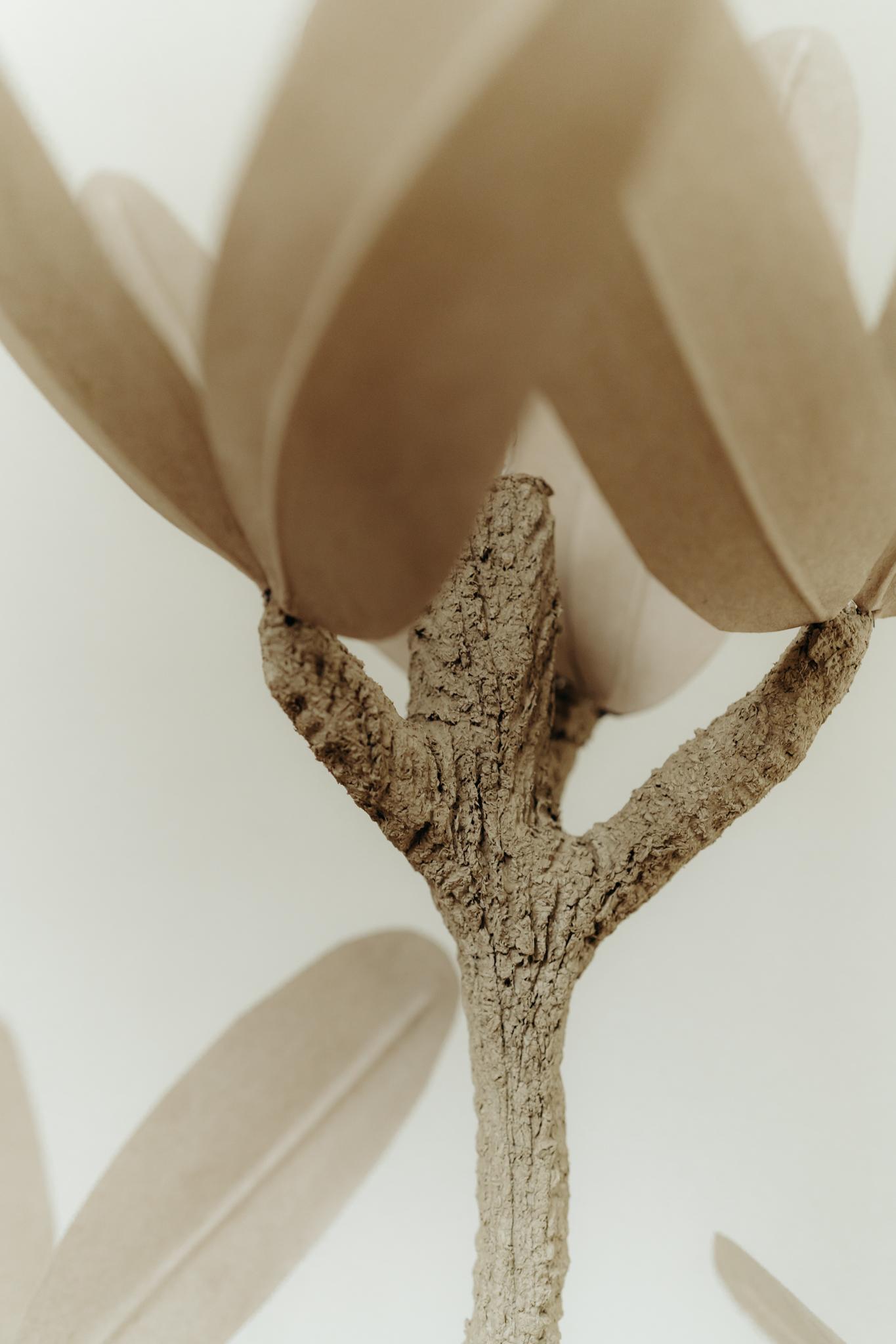 contemporary tablelamp, work from French artist José Esteves 1