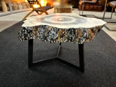 Contemporary Teak Root Coffee/ Side Table, Organic Modern - Handpainted, 2023