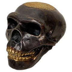 Sculpture de crâne tibétaine contemporaine en bronze 