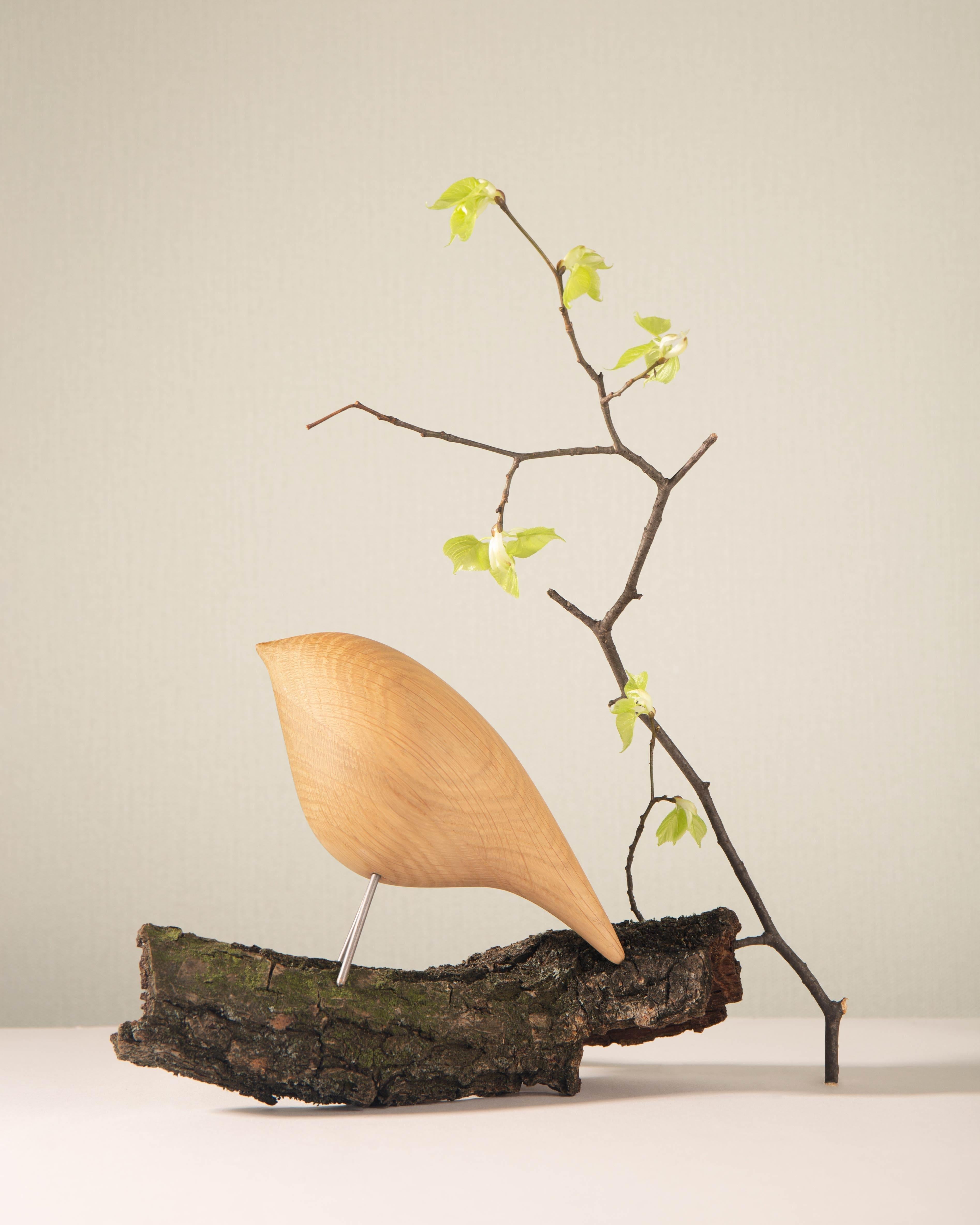 Contemporary 'Tweety Decorative Bird CS1' by Noom, Natural Ashwood, In Stock For Sale 4