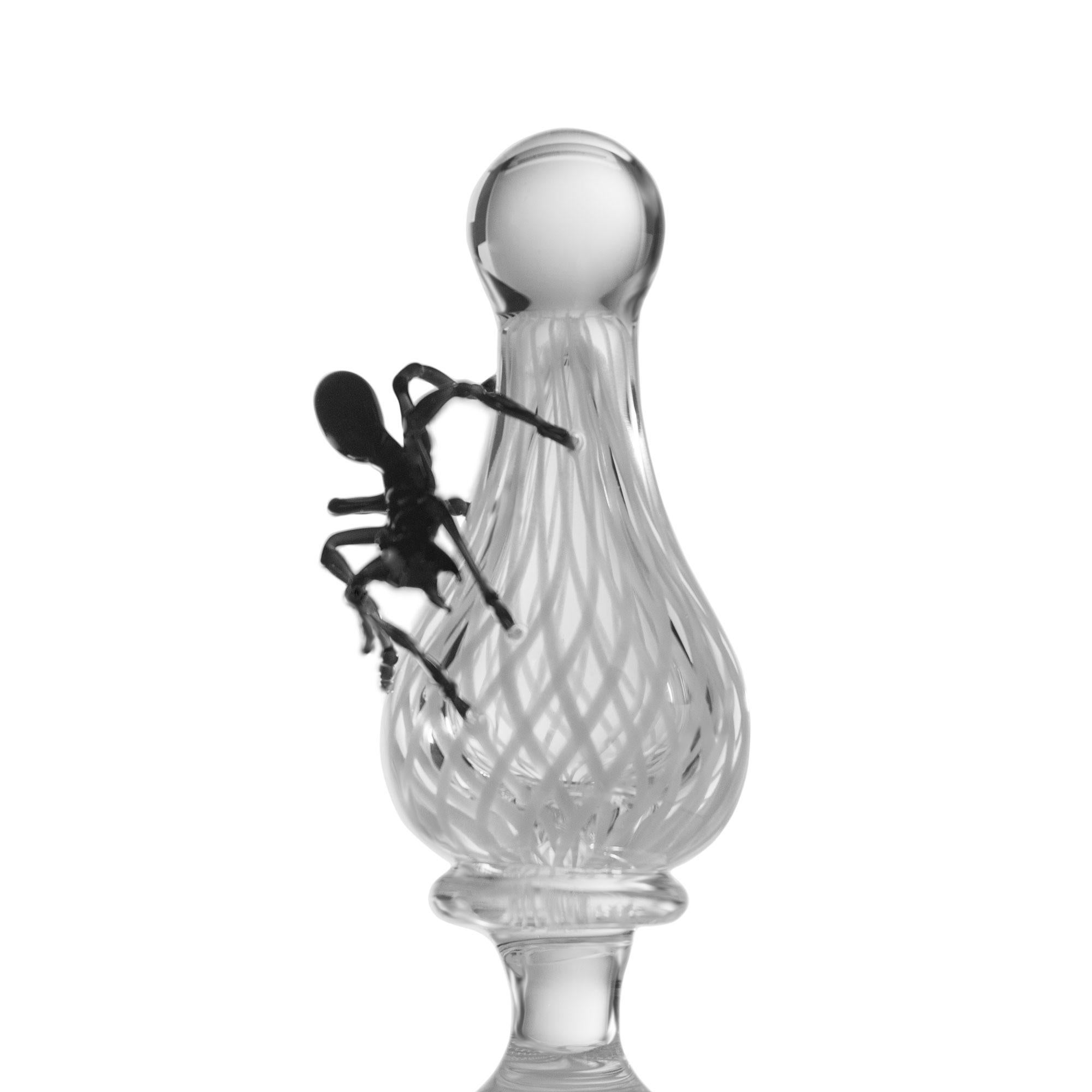 Vetro soffiato Vanità contemporanea Scultura in vetro soffiato a mano Ragnatela contorta Rigadin Wild in vendita