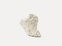 Contemporary Vessel - "Cornucopia" by Nicola Cecutti