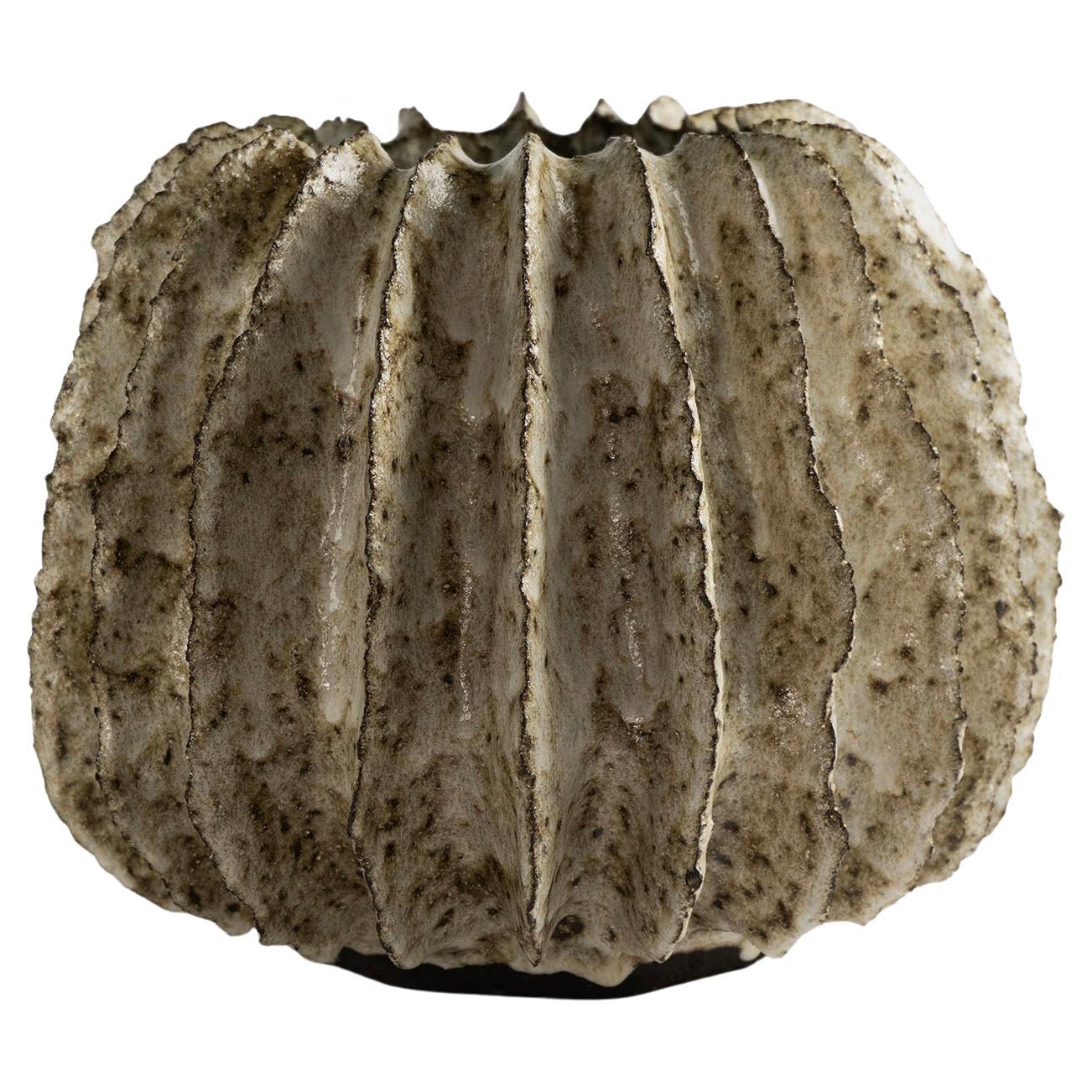 Recipiente Contemporáneo de Arcilla Vocánica Serie V-1413 KUWABATA