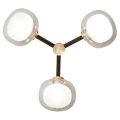 Contemporary Wall Lamp Nabila 552.73 by TOOY, Brass, Clear Glass