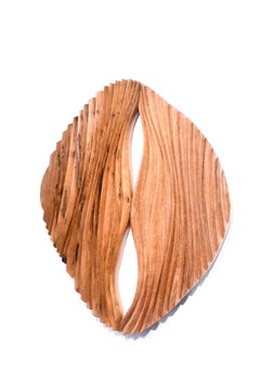 Contemporary Wall Mounted Sculpture from 'Delta' Series by James Rowland