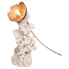 Lampe Epimorph blanche contemporaine - Selenite par Elissa Lacoste