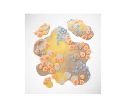 Contemporary, Wild Colourful Carpet, Sunlit Garden by Alfie Furry Friends