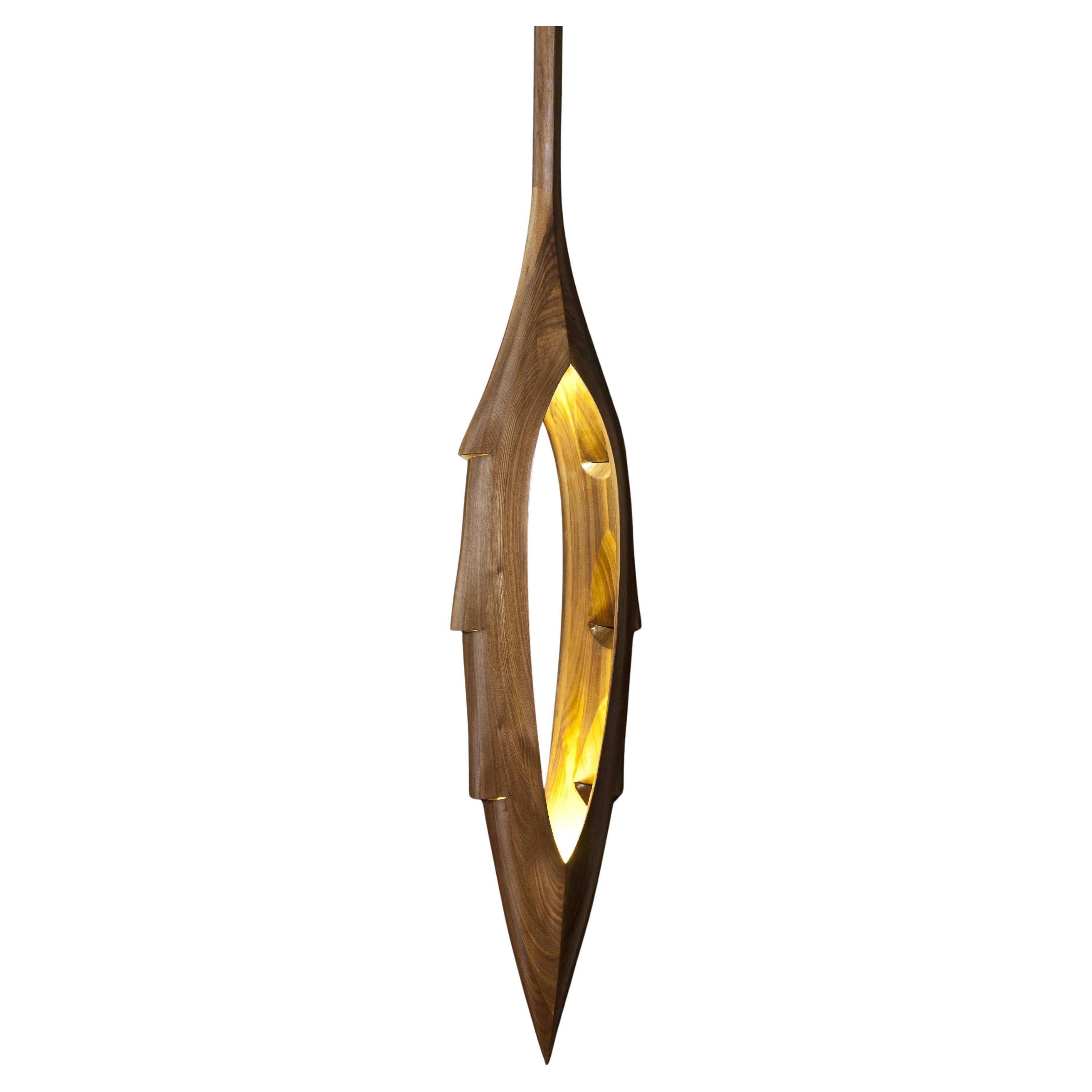 Contemporary Wood Pendant For Sale