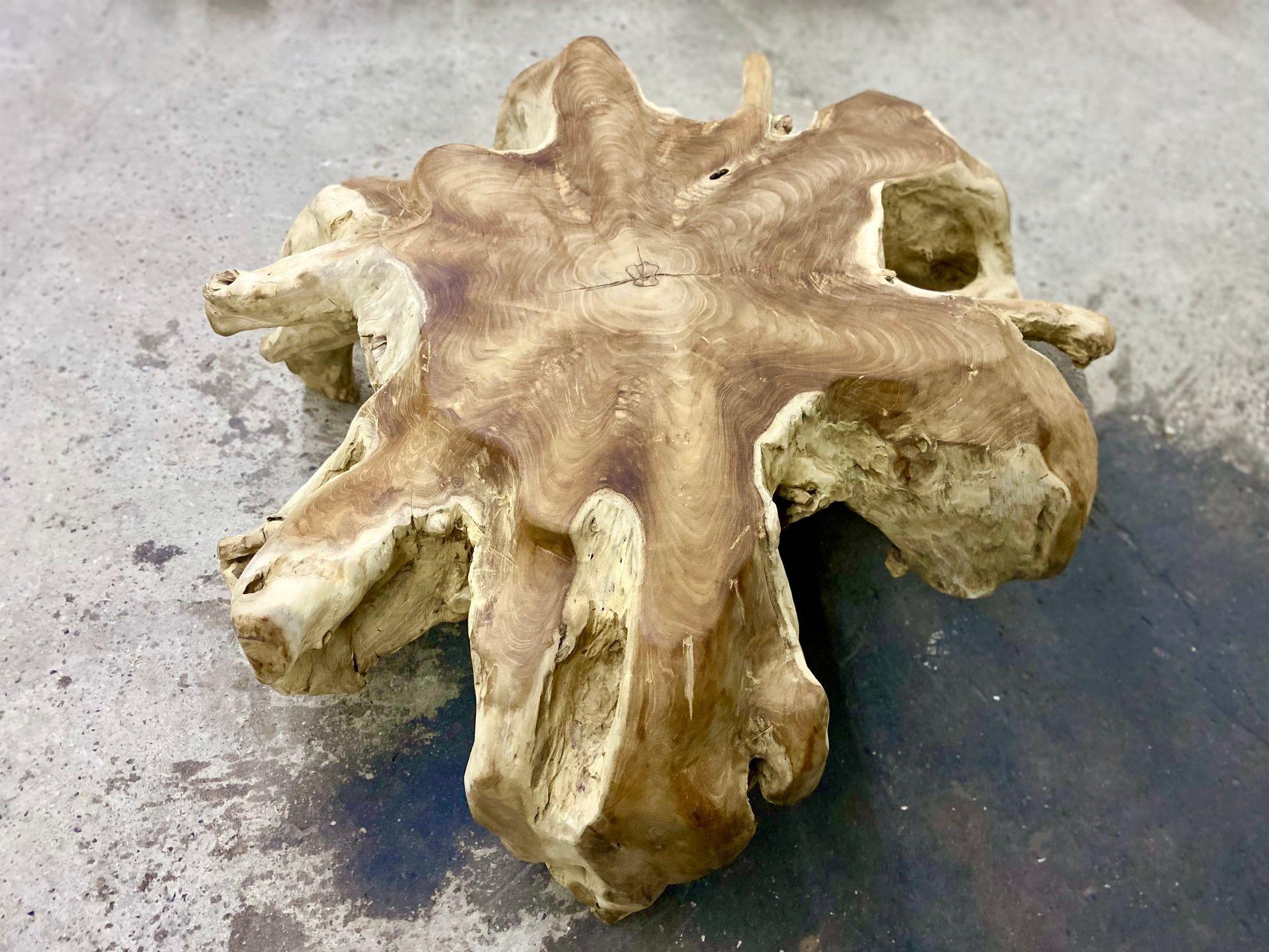 Contemporary Wooden Teak Root Coffee Table, Organic Modern, IDN 2024 For Sale 1