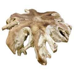 Contemporary Wooden Teak Root Coffee Table, Organic Modern, IDN 2024