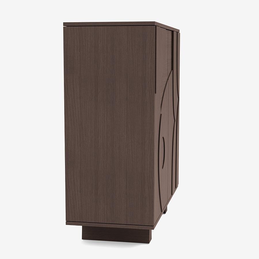 Contemporary 'Wynwood' Cabinet by Man of Parts, Black Oak  For Sale 2