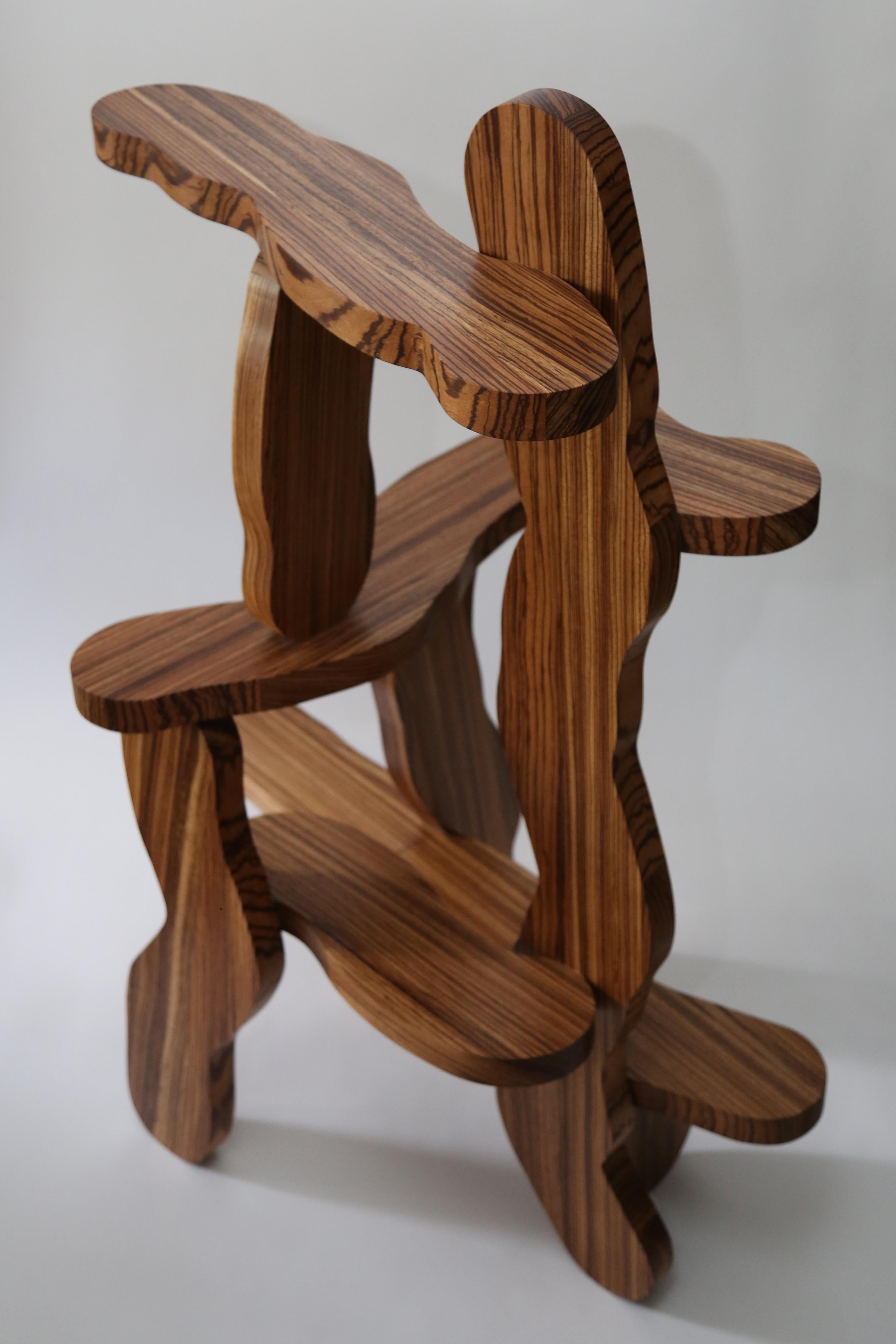 Contemporary Zebrano Wood Shelf by Soft Baroque For Sale 3