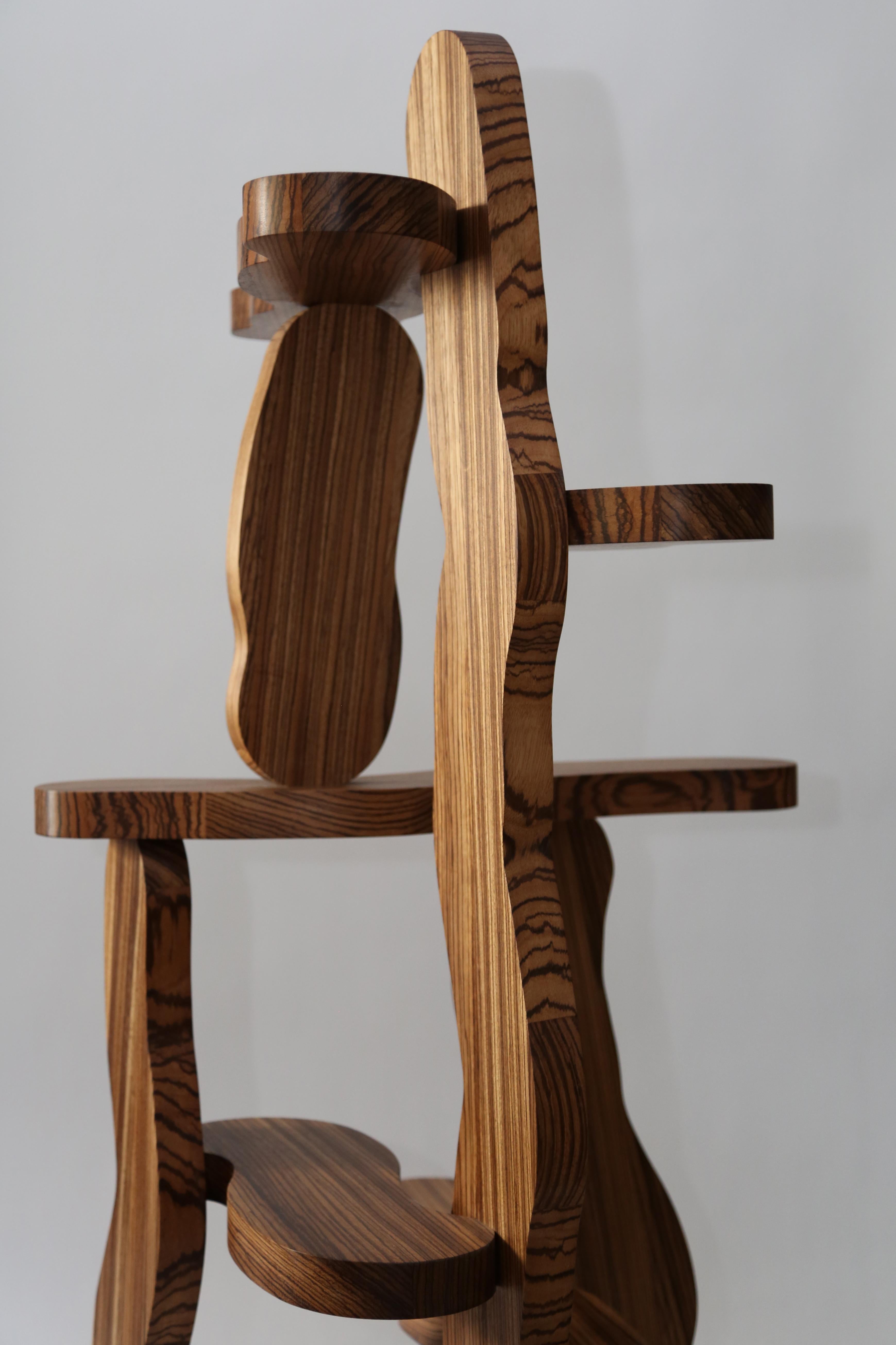 Contemporary Zebrano Wood Shelf by Soft Baroque For Sale 4