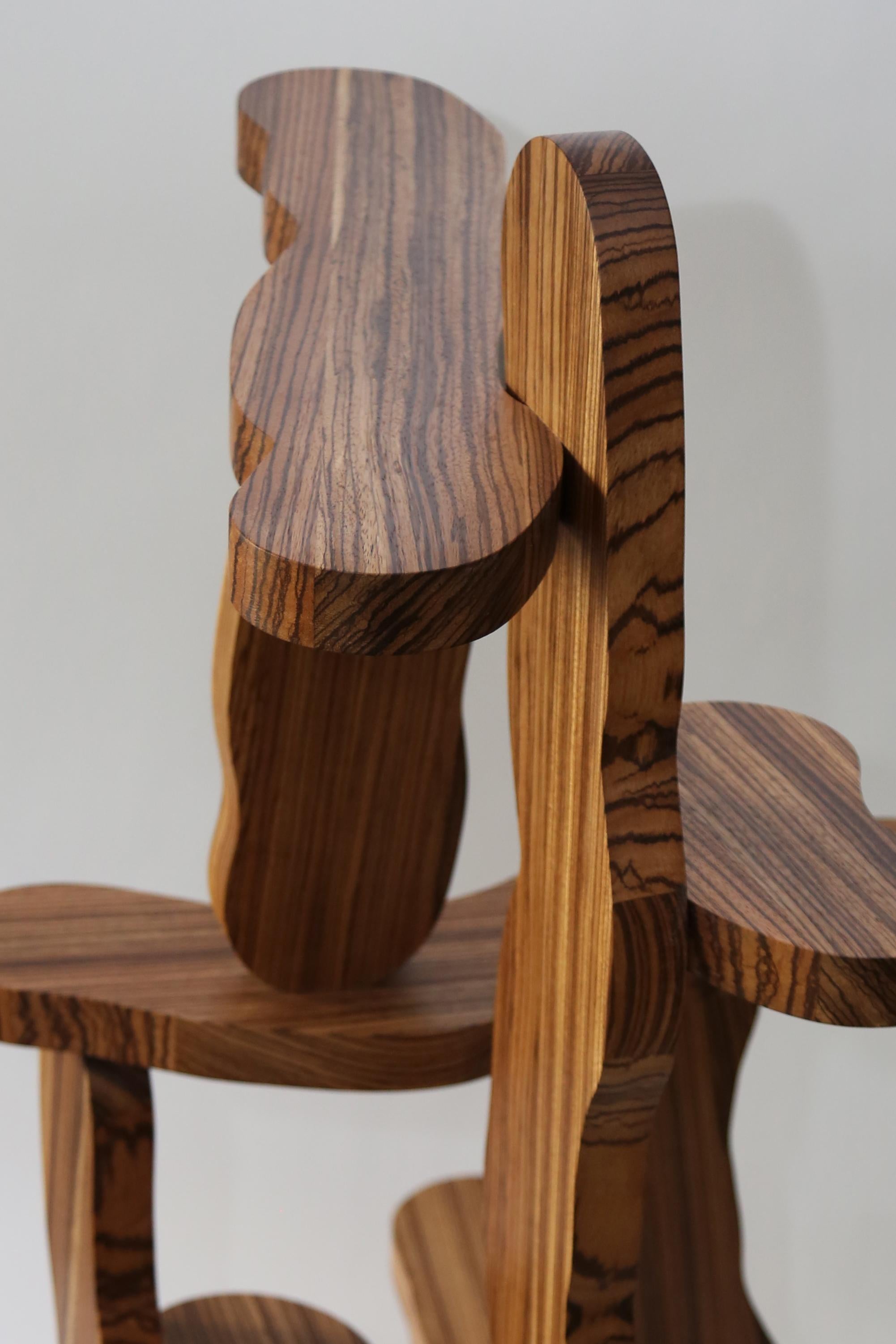 Contemporary Zebrano Wood Shelf by Soft Baroque For Sale 6