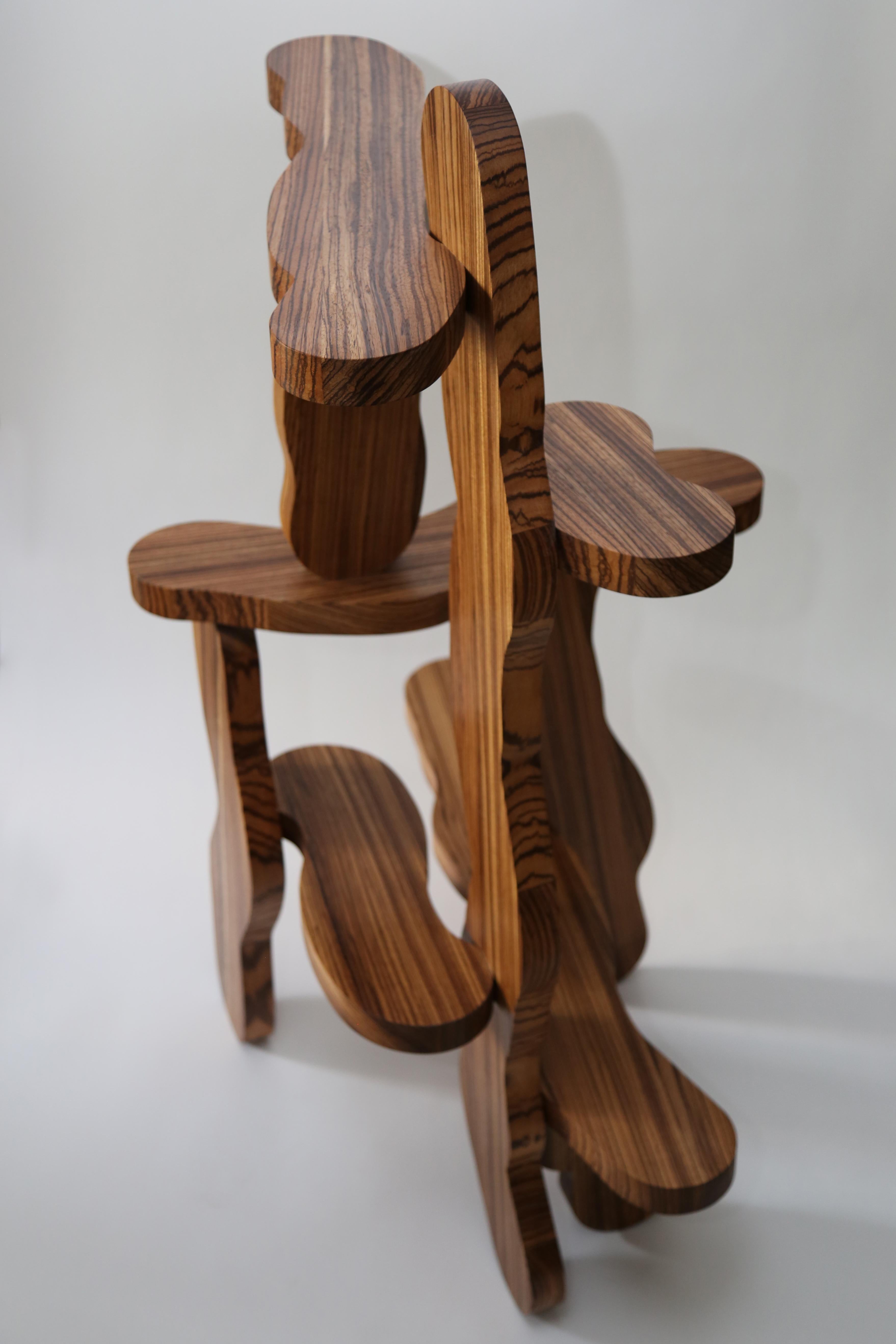 Contemporary Zebrano Wood Shelf by Soft Baroque For Sale 7