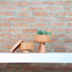 "Conterraneos" Collection Table Planter Vasetti by Brunno Jahara