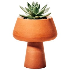 "Conterraneos" Collection Table Planter Vasetti by Brunno Jahara