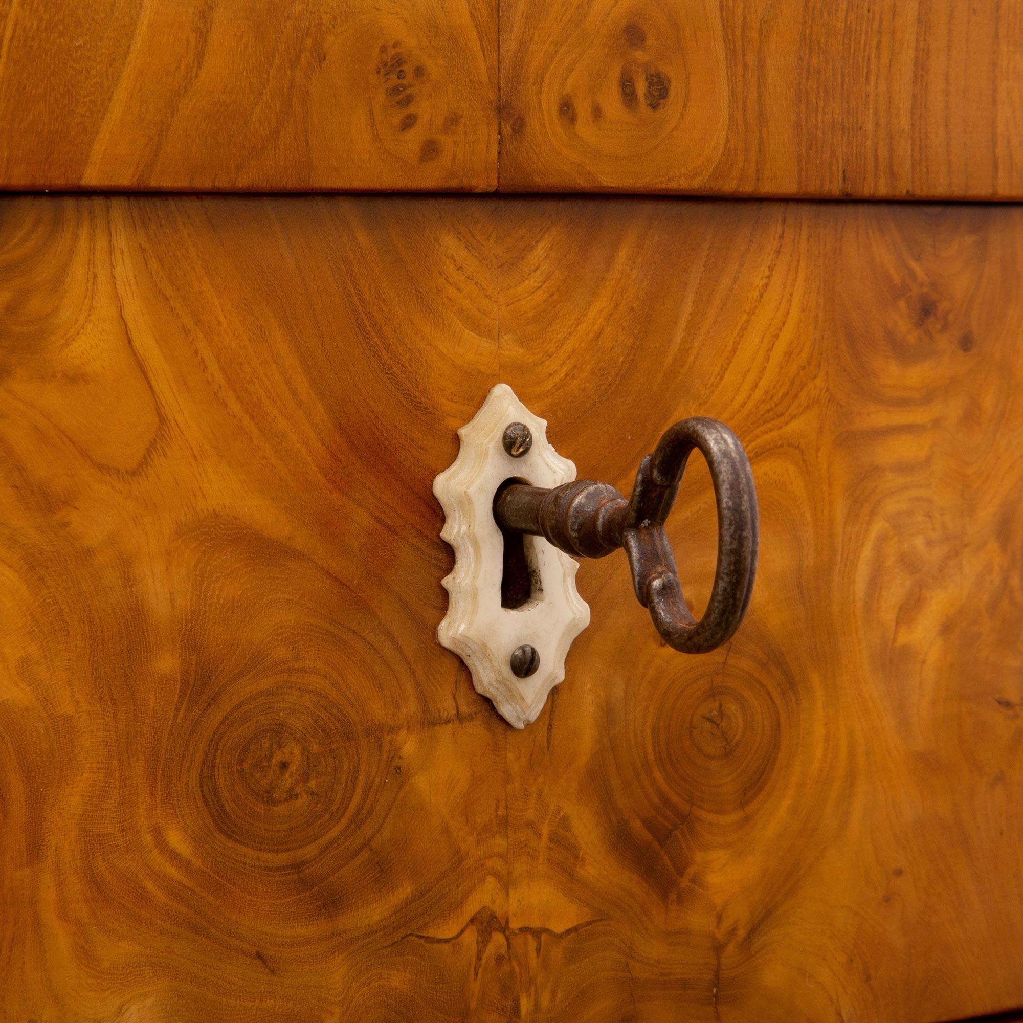 Commode continentale del XIX secolo Biedermeier in acero di S. Burl in vendita 2
