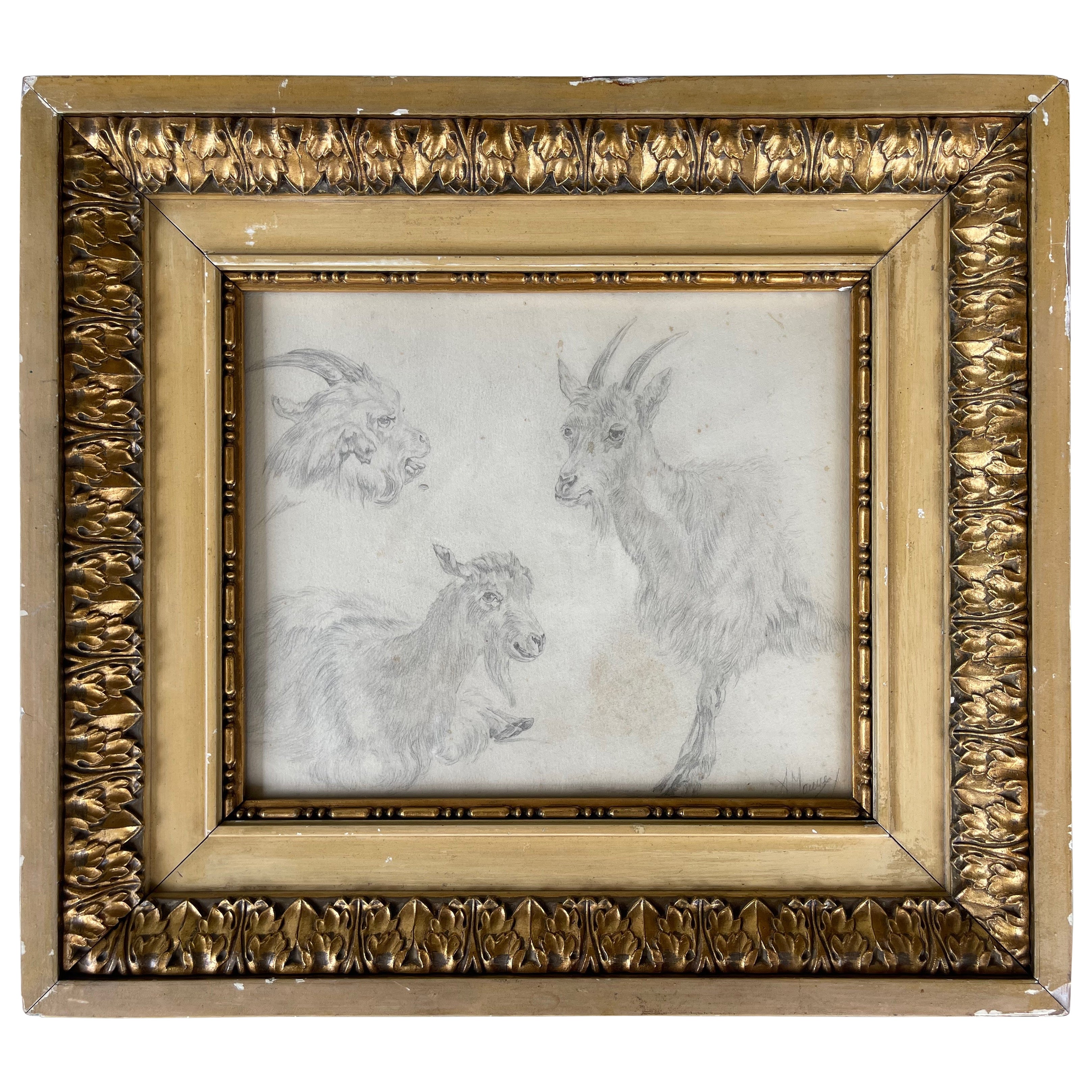 Continental 19th Century Drawing of Goats in Gilt Frame
