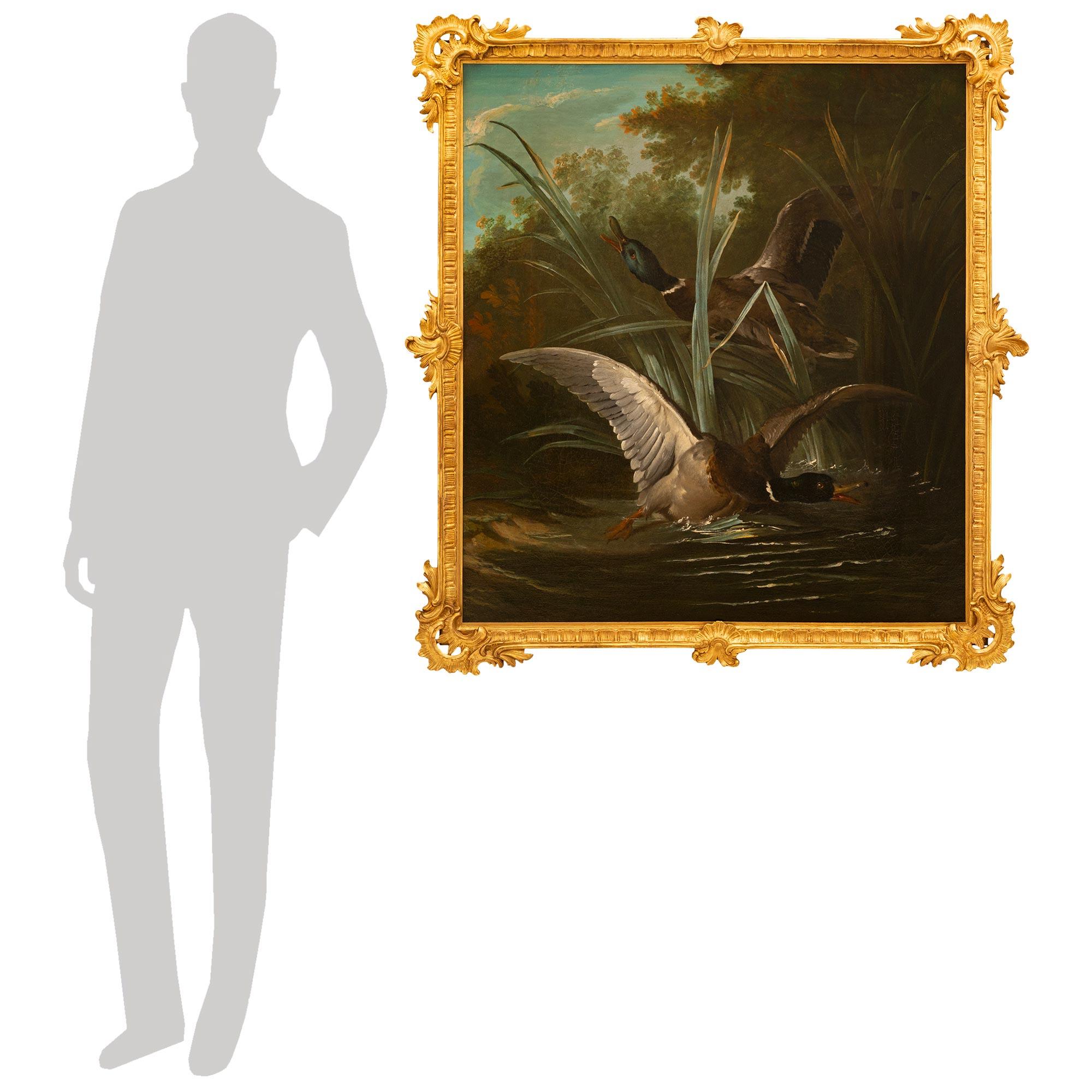 A striking and highly detailed Continental 19th century Oil on Canvas and Giltwood school painting of ducks. This exceptional painting is set within its original stunning and richly carved Baroque st. Giltwood frame with overlapping scalloped