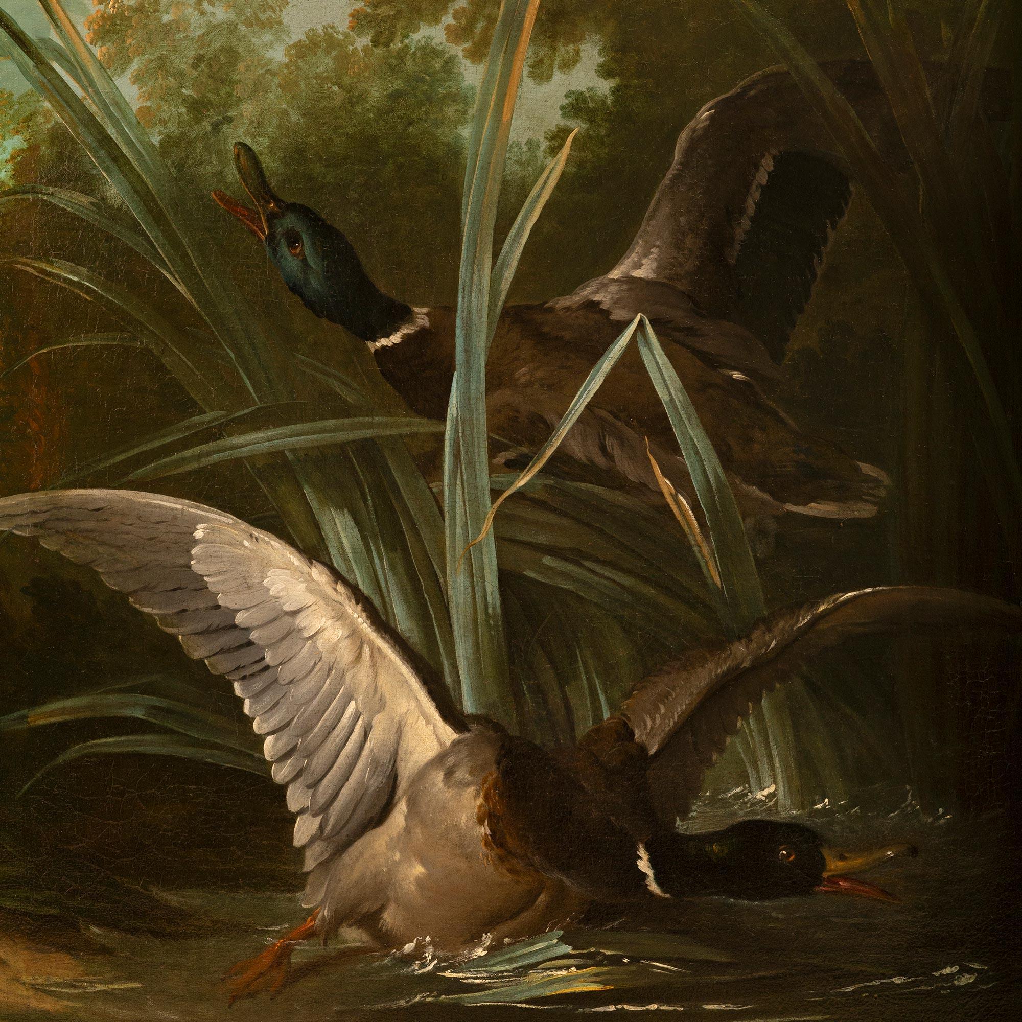 19th Century Continental 19th century Oil on Canvas and Giltwood school painting of ducks For Sale