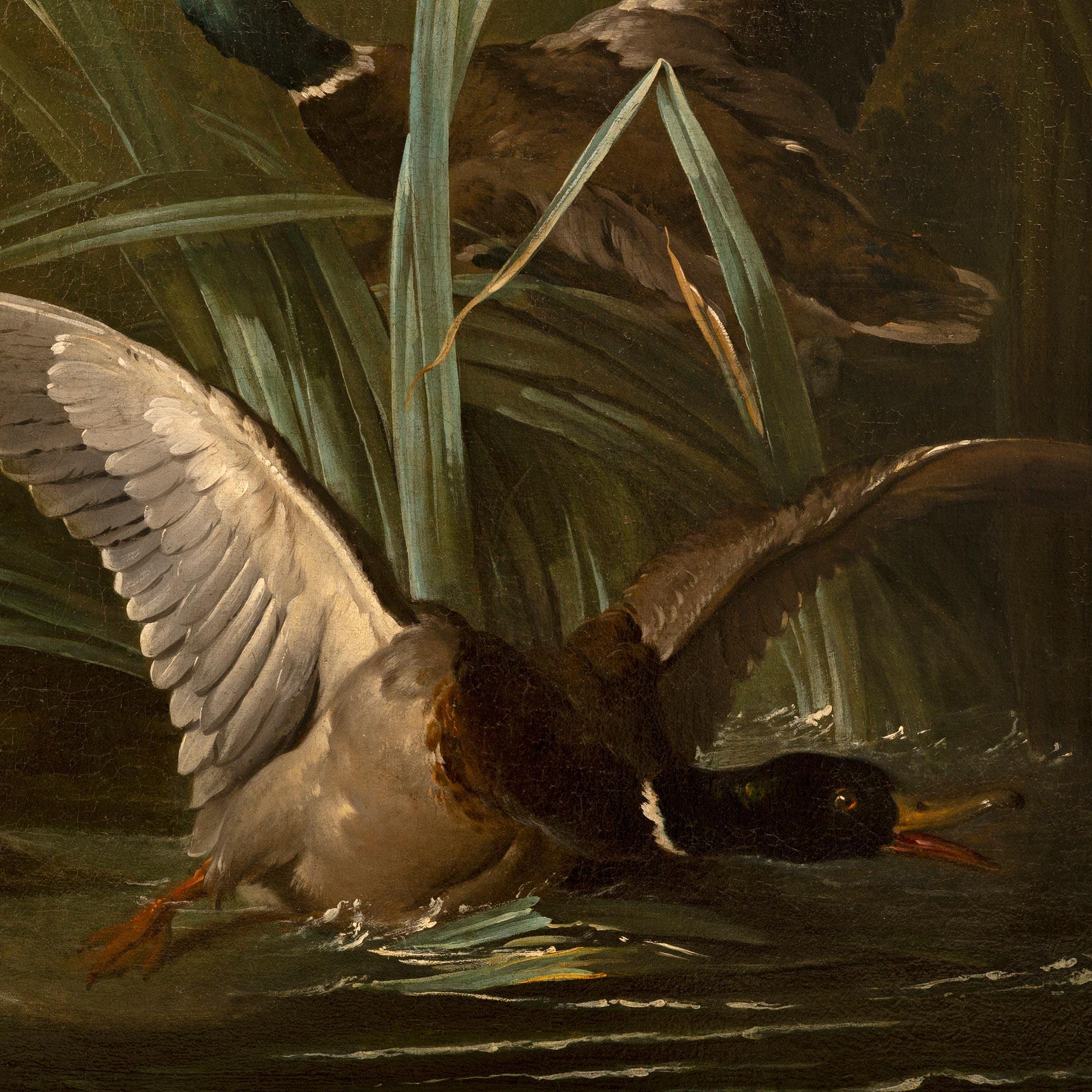 Continental 19th century Oil on Canvas and Giltwood school painting of ducks For Sale 2