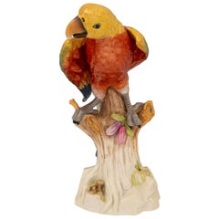 Continental 19th Century Porcelain Statue of a Parrot