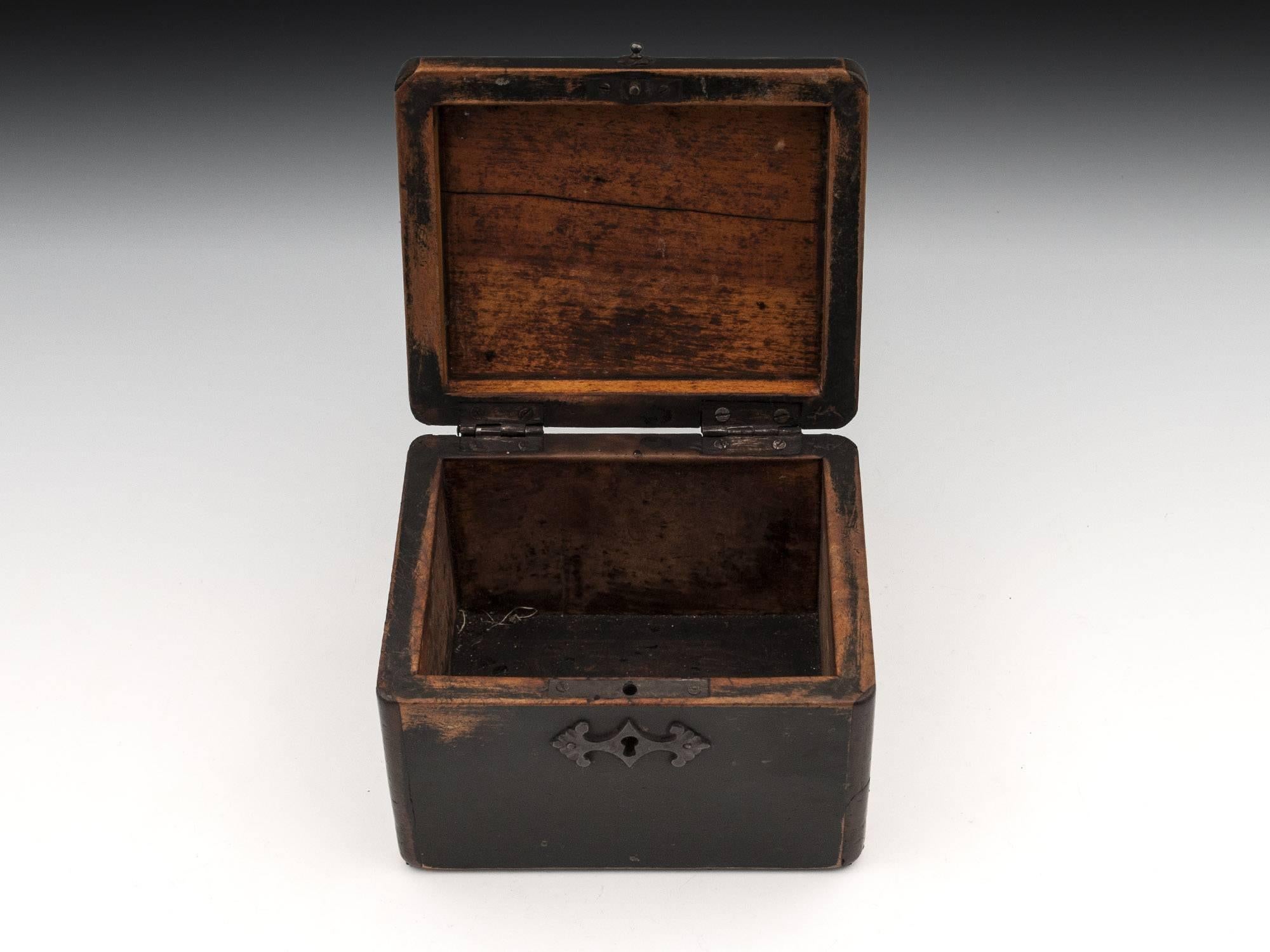 Continental Georgian Wooden Sycamore Hungarian Tea Caddy, Early 19th Century For Sale 2