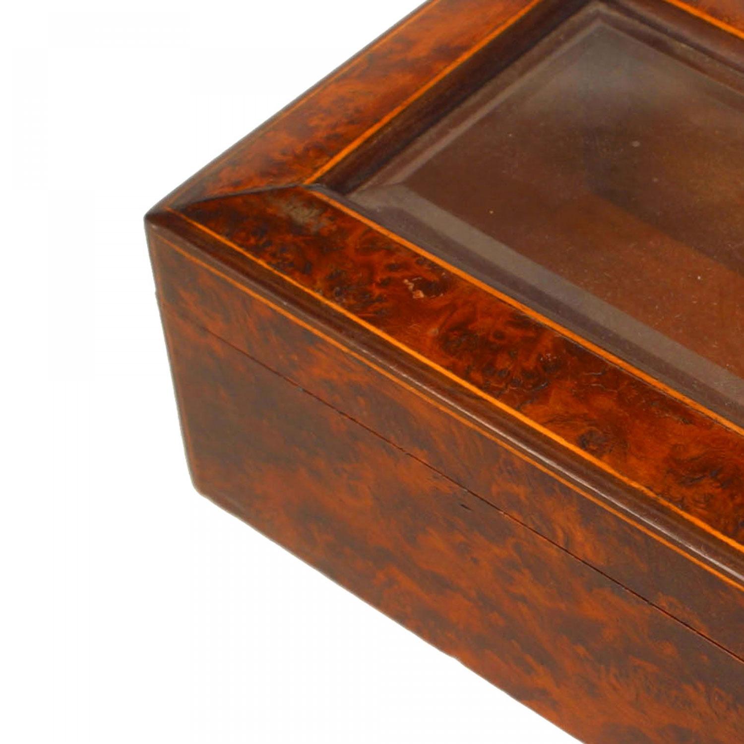 Kontinentale österreichische Nussbaummaser und Satinholz gebändert kleine Box mit einem abgeschrägten Glaseinsatz oben