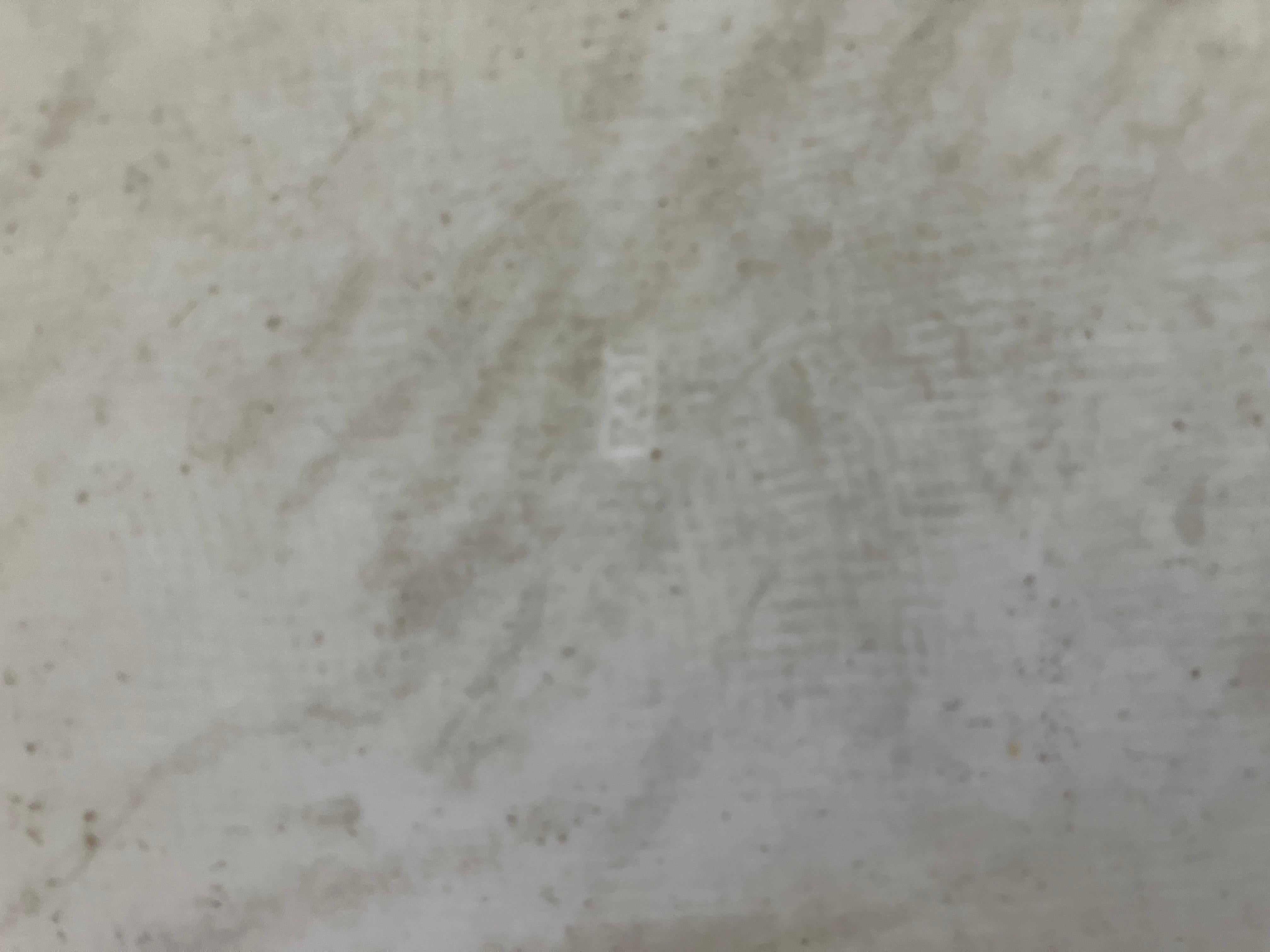 Continental Chinoiserie Tray Platter For Sale 3