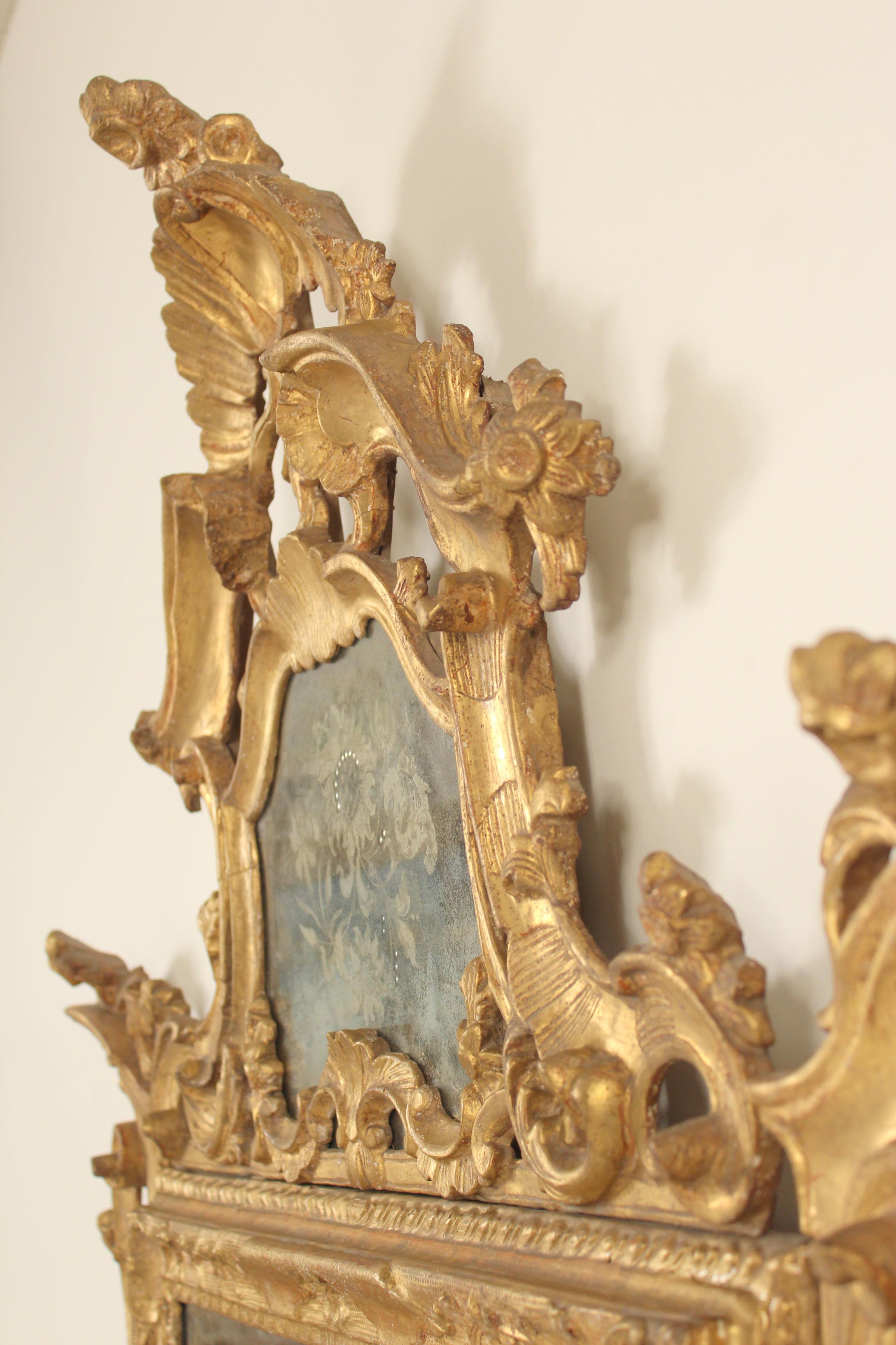 Continental Louis XV Style Giltwood Mirror 3