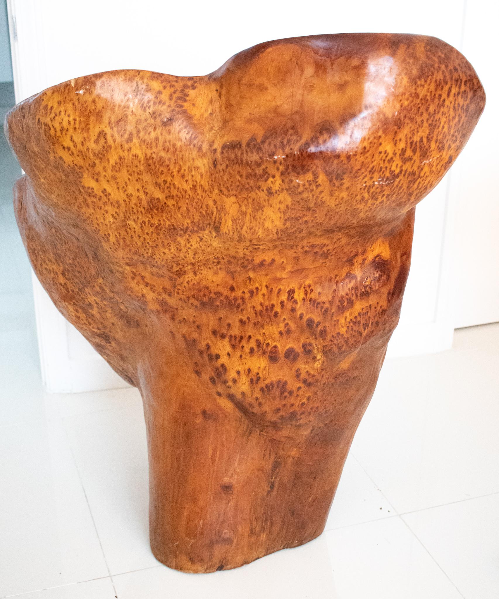 Mid-Century Modern Continental Mid-Century 1960 Massive Sculptural Chair Carved Precious Burl Wood For Sale