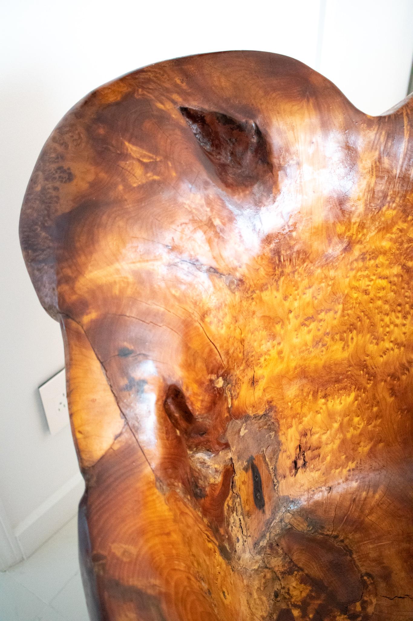 Hand-Carved Continental Mid-Century 1960 Massive Sculptural Chair Carved Precious Burl Wood For Sale