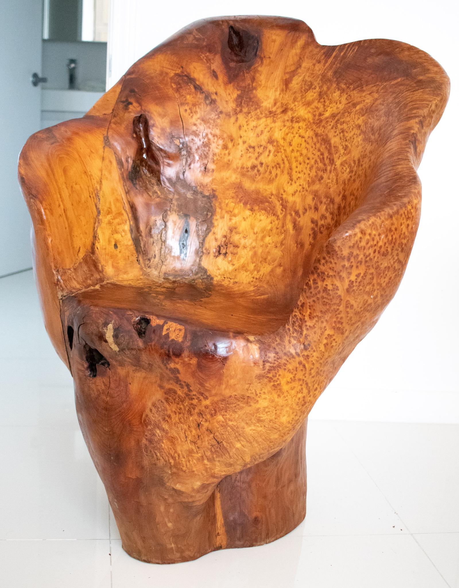 Mid-20th Century Continental Mid-Century 1960 Massive Sculptural Chair Carved Precious Burl Wood For Sale