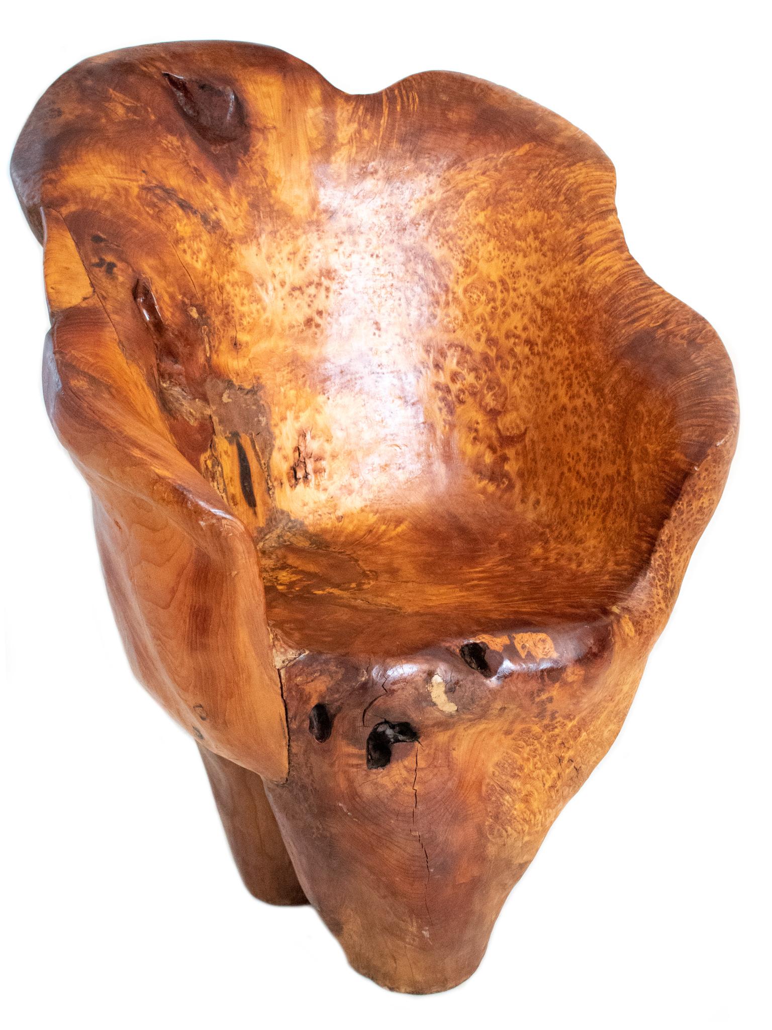 Continental Mid-Century 1960 Massive Sculptural Chair Carved Precious Burl Wood For Sale